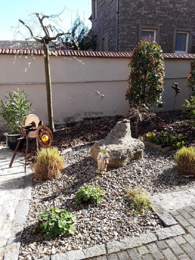Ferienwohnung - Zimmervermietung Ringelmann デッテルバッハ エクステリア 写真